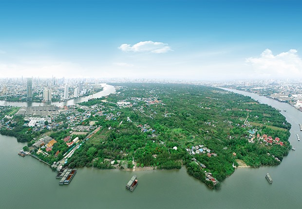 p20-21-weekly-bangkachao-01.jpg