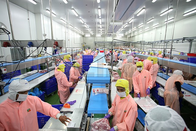 p20-21-weekly-export-03.jpg