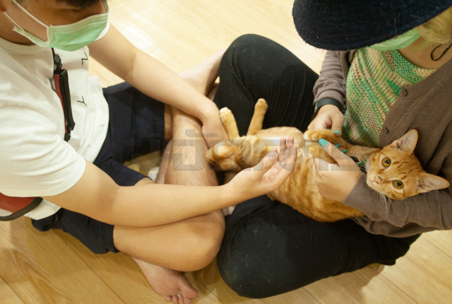 p20-21-weekly-nutch-03.jpg
