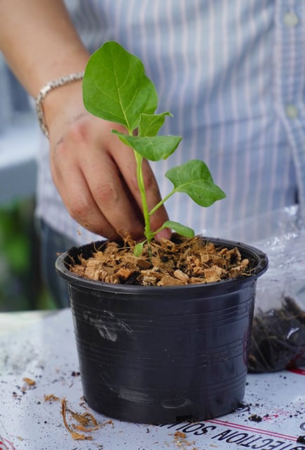 p20-21-weekly-plantable-04.jpg