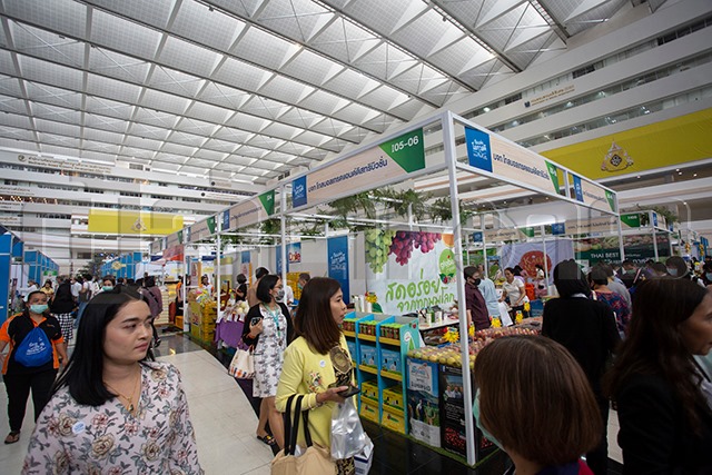 p20-21-weekly-shopping-04.jpg