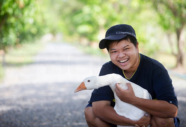 p20-21-weekly-swai-01.jpg