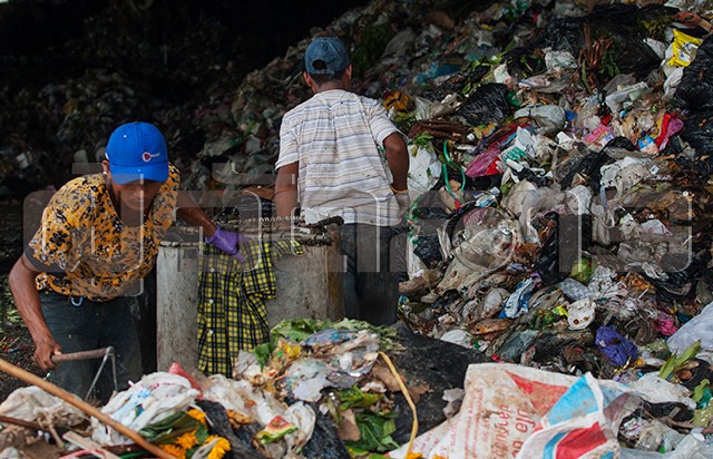 p20-21-weekly-waste-02.jpg