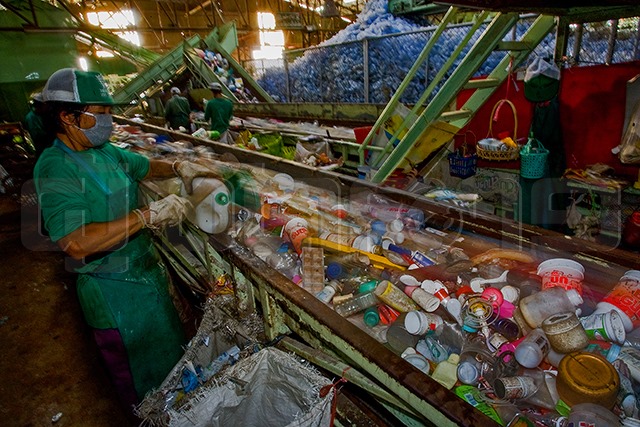 p20-21-weekly-waste-03.jpg
