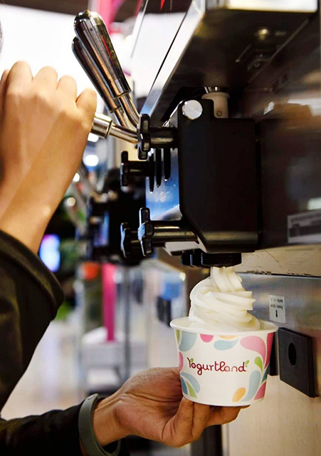 p20-21-weekly-yogurtland-02.jpg