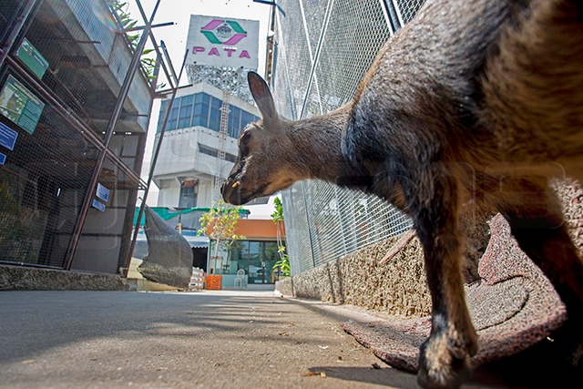 p22-23-weekly-buanoi-06.jpg