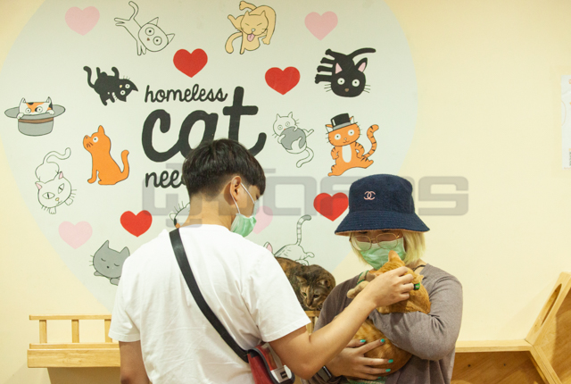 p22-23-weekly-castercafe-01.jpg