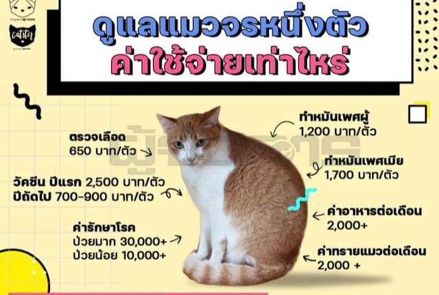 p22-23-weekly-castercafe-05.jpg