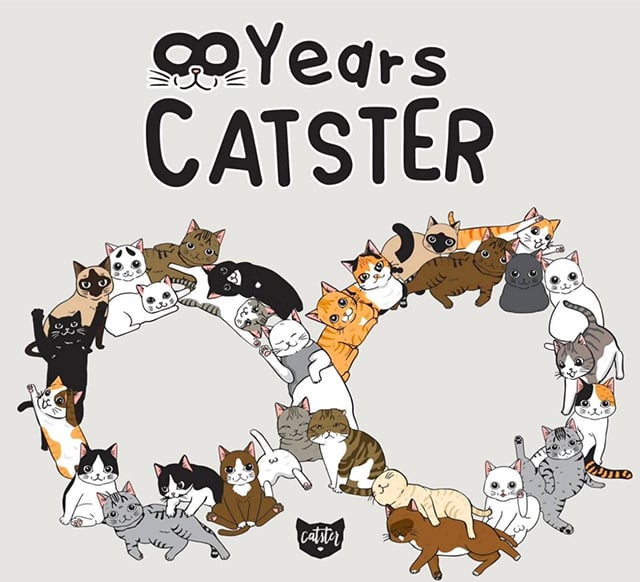 p22-23-weekly-catster-02.jpg