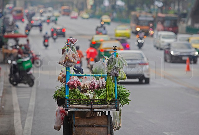 p22-23-weekly-eco-01.jpg