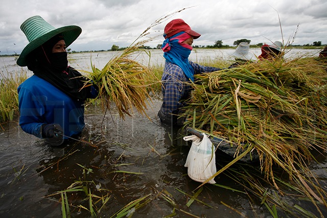 p22-23-weekly-flood-02.jpg