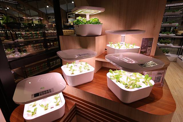 p22-23-weekly-gourmet-03.jpg