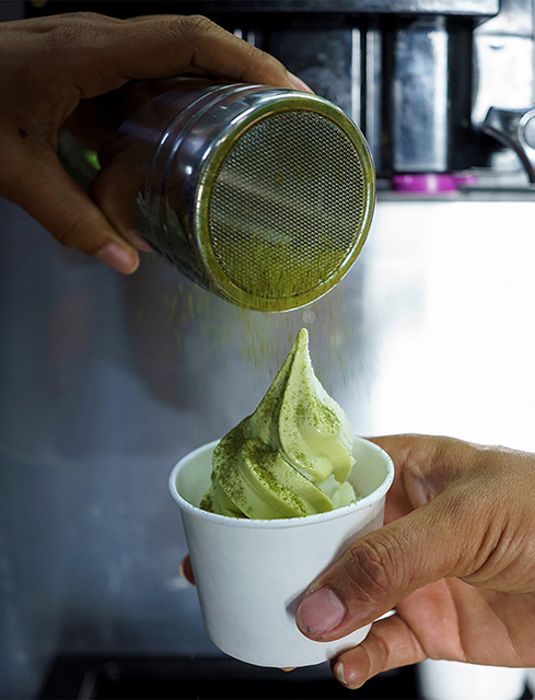 p22-23-weekly-hemp-02.jpg