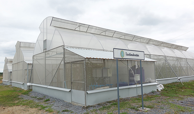p22-23-weekly-homkajorn-03.jpg