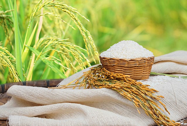 p22-23-weekly-rice-06.jpg