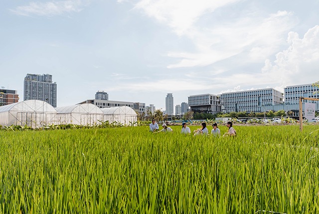 p22-23-weekly-sansiri-01.jpg