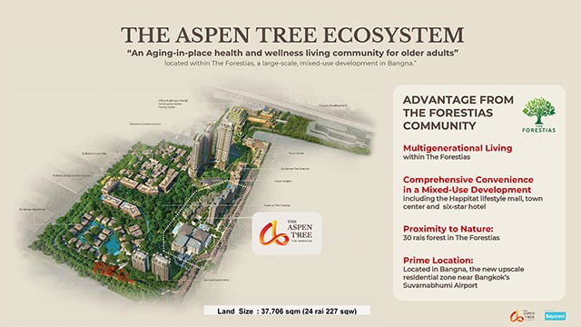 p22-23-weekly-theaspan-06.jpg