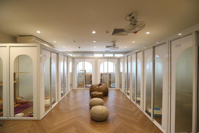 p22-23-weekly-thonglor-03.jpg