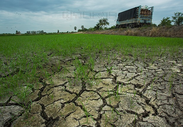 p22-23-weekly-water-01.jpg