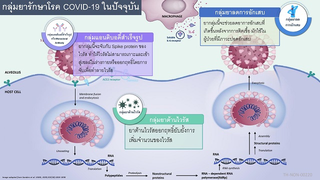 p24-weekly-covid-resize.jpg