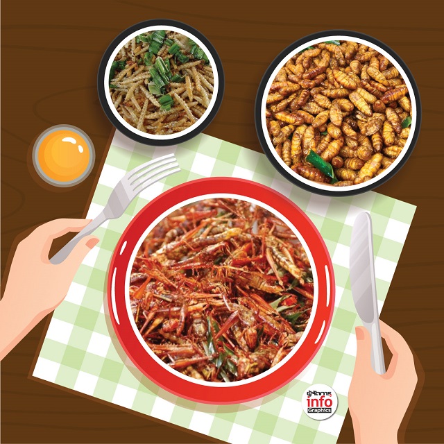 p24-weekly-ediblebug-Copy.jpg