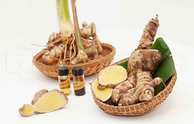 p24-weekly-herbal-01.jpg
