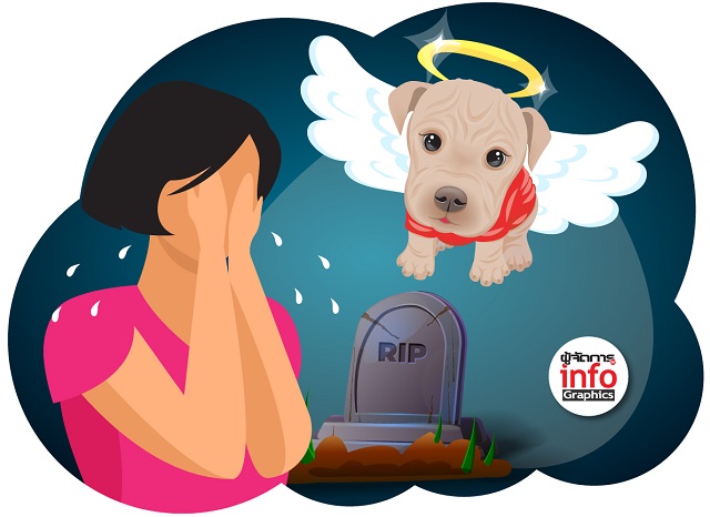 p24-weekly-pet.jpg