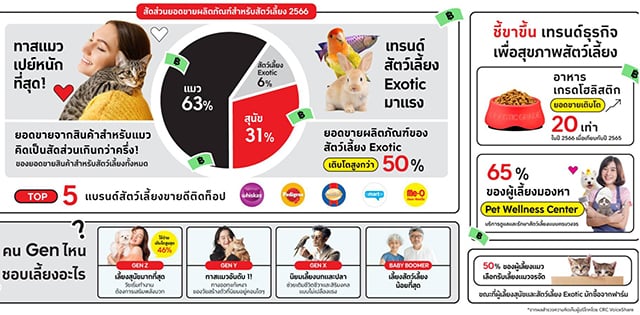 p24-weekly-petfluencer-02.jpg