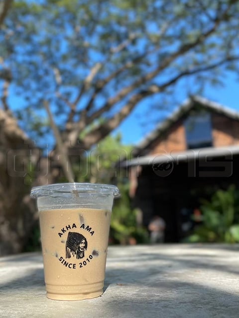 p24-weekly-roaster-02.jpg