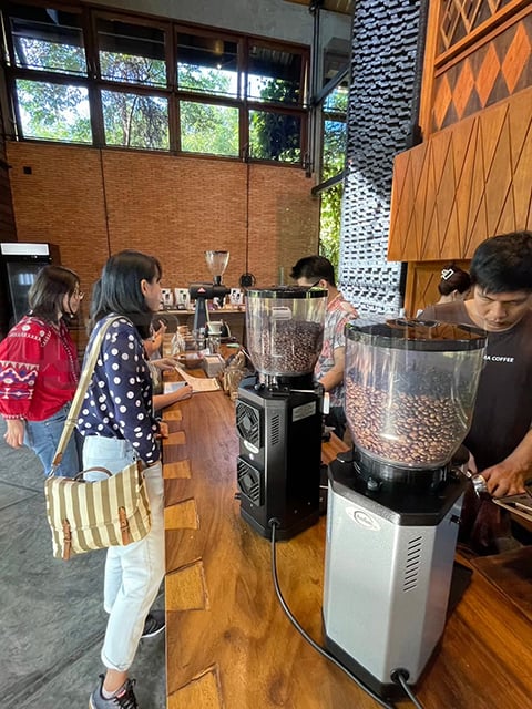 p24-weekly-roaster-03.jpg