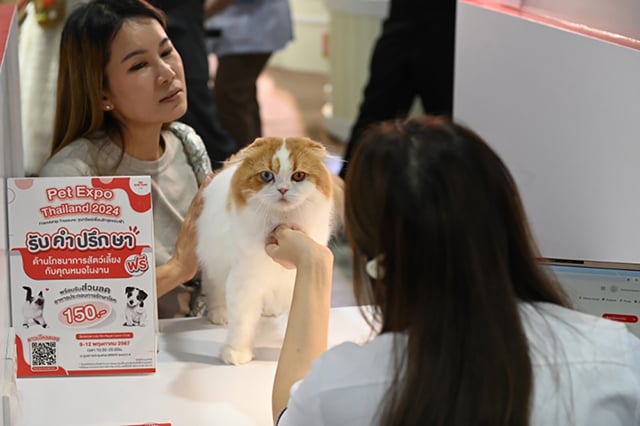 p24-weekly-royalcanin-02.jpg