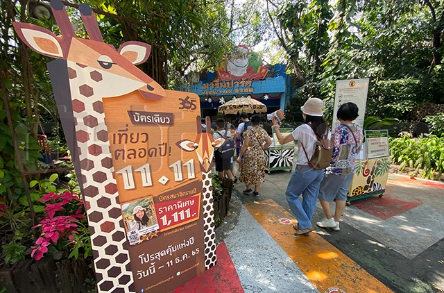 p24-weekly-safari.jpg