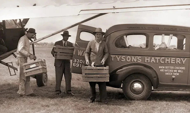 p24-weekly-tyson-02.jpg