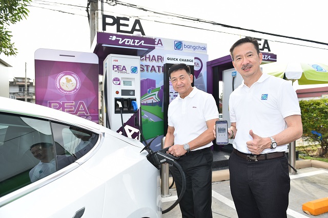pea-1.jpg