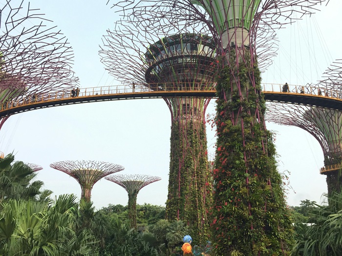 pexels-joaoaguiar-Singapore.jpg