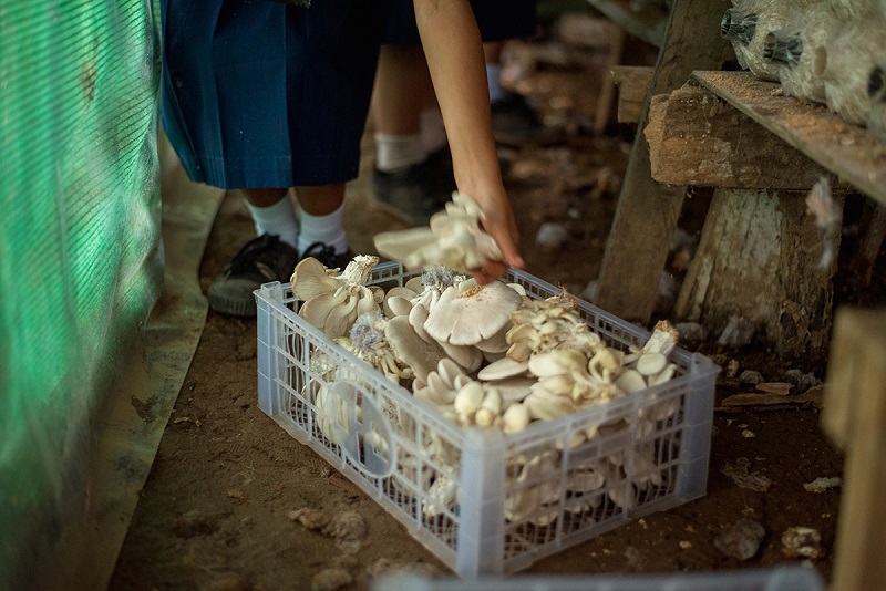 Photo-Plearn-Feed-the-Future05.jpg
