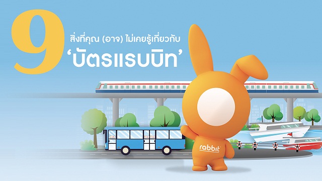 Rabbit-9-สิ่งที่คุณอาจไม่รู้.jpg