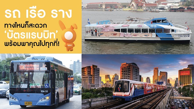 Rabbit-9-สิ่งที่คุณอาจไม่รู้9.jpg