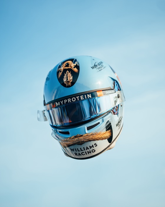 RP-AA-Helmet-2-Copy.jpg