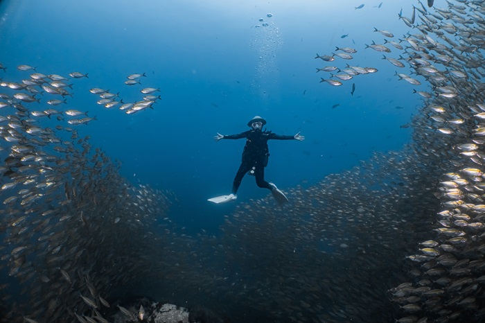 Sail-Rock_Koh-Tao_Thailand.jpg