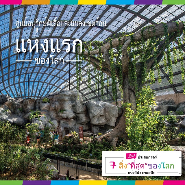 Social-Media-THAI-03.jpg