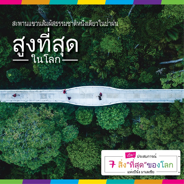 Social-Media-THAI-04.jpg
