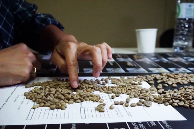 Thailand-Specialty-Coffee-Awards-2020-2-.jpg