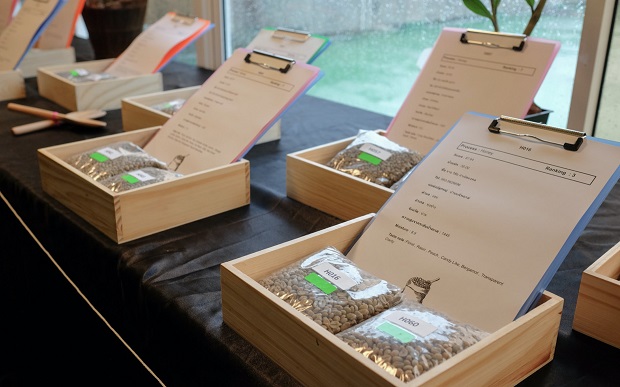 Thailand-Specialty-Coffee-Awards-2020-8.jpg