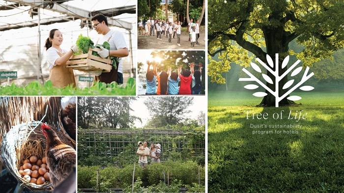 Tree-of-Life.jpg