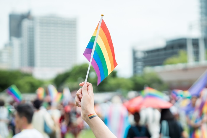 Visual_Pride-2_0.jpg