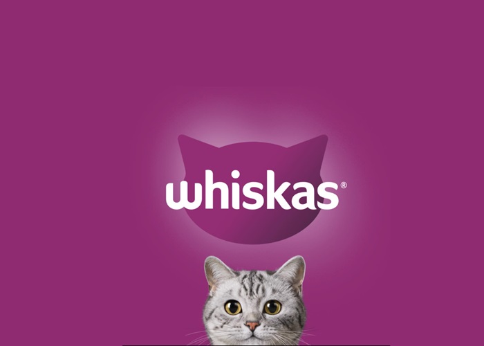 Whiskas_Casting_Call.jpg