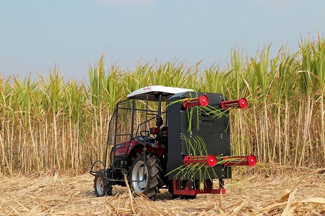yanmar_01.jpg